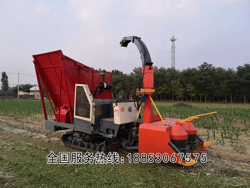 履帶式圓盤青儲機